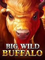 Big Wild Buffalo